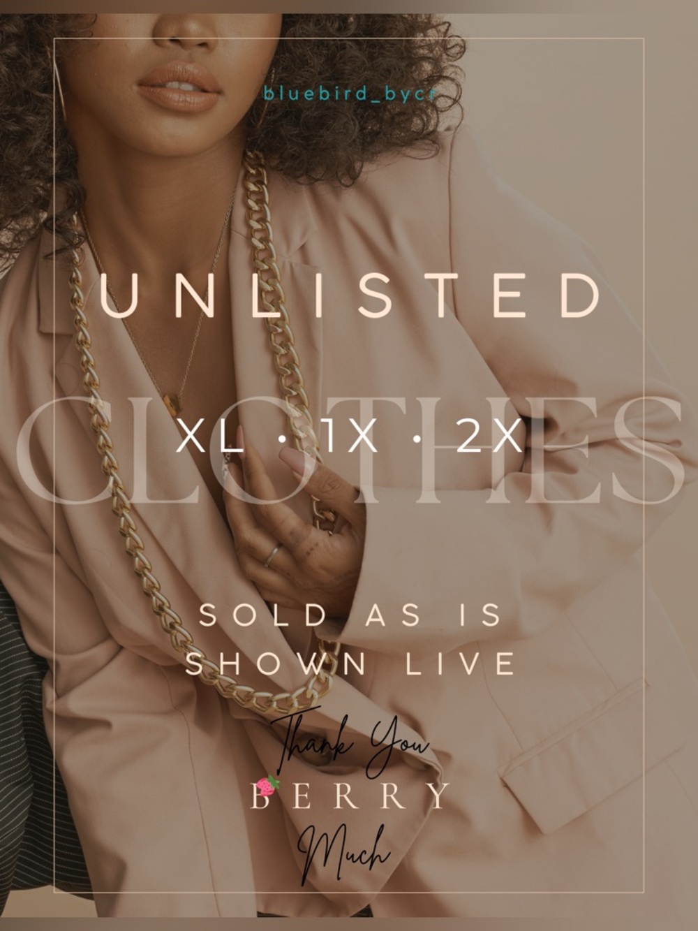 Unlisted SOLD AS IS Shown Live Clothes XL-1X-2X